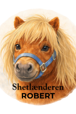 Shetlænderen Robert
