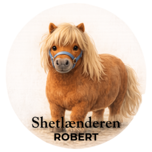 Shetlænderen Robert er blevet til virkelighed